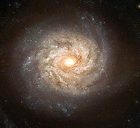 The Seriphia Galaxy